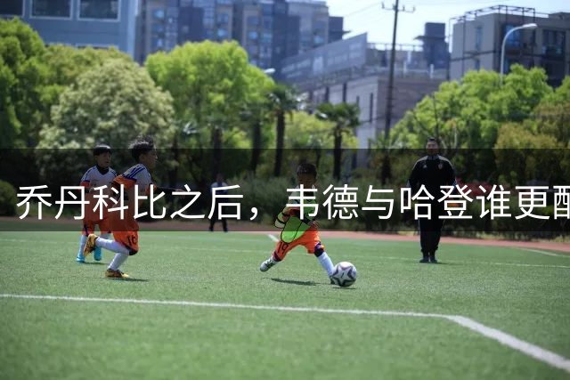 乔丹科比之后，韦德与哈登谁更配称第三分卫？